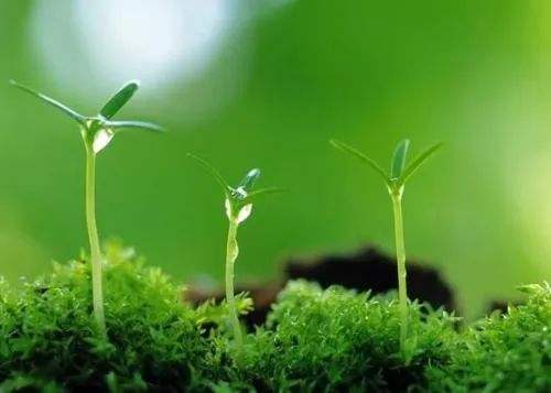 心血管患者春季養生(shēng)攻略